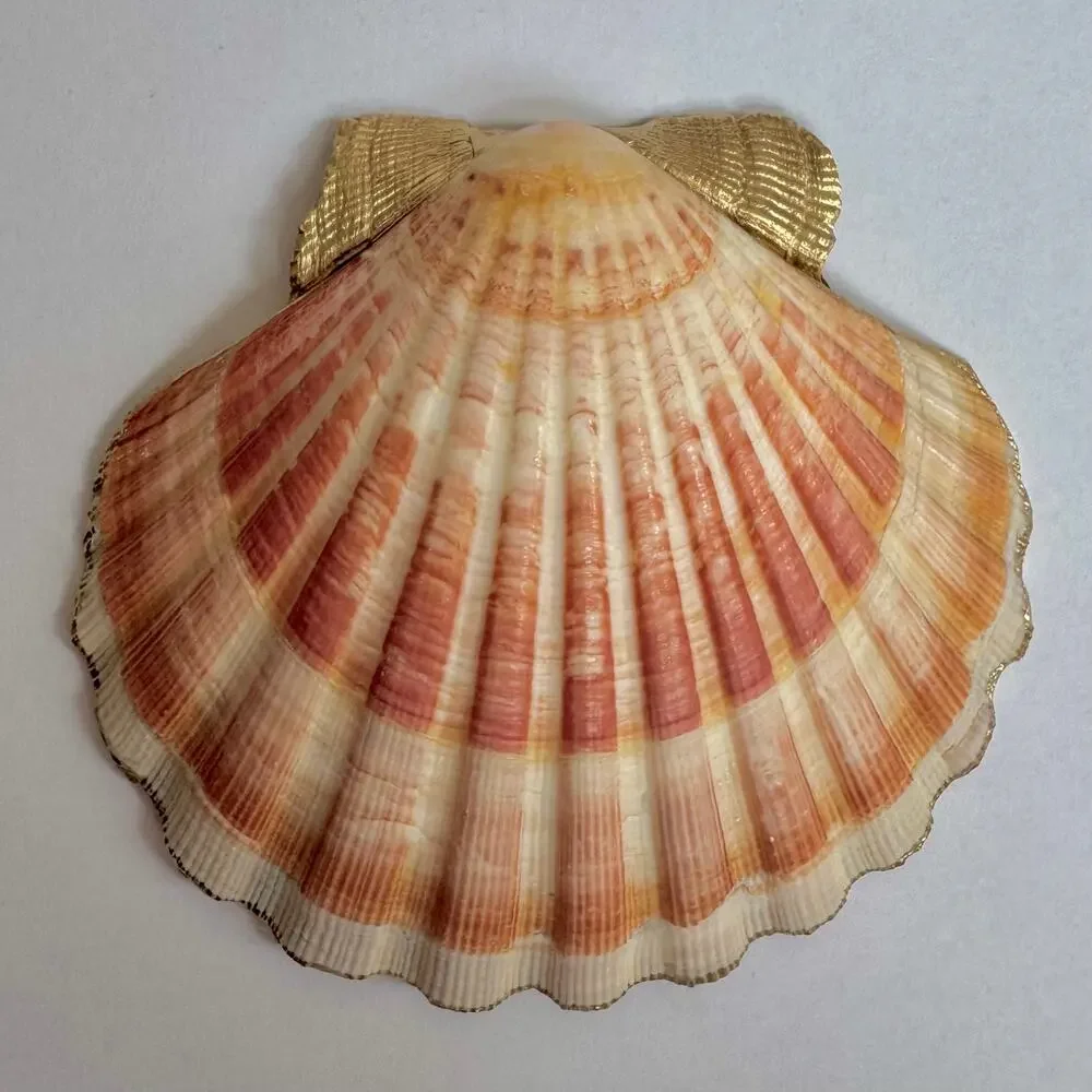 Urban Outfitters handmade seashell